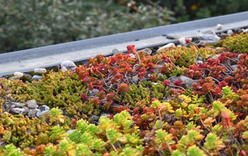 the cost of Latteridge green roof installation