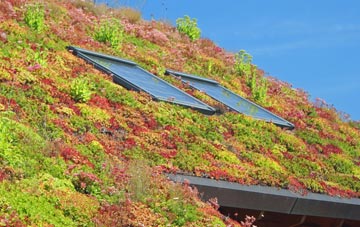 Latteridge living roof systems